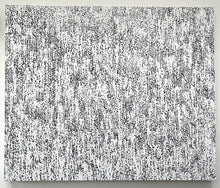 White Noise, Solo
