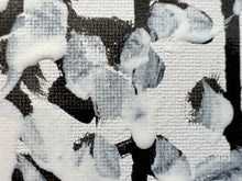 White Noise, Solo