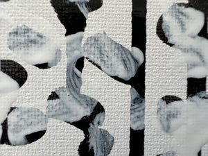 White Noise, Solo