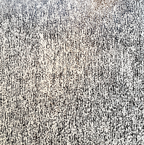White Noise Too