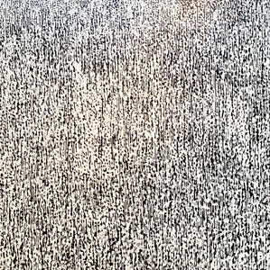 White Noise Too