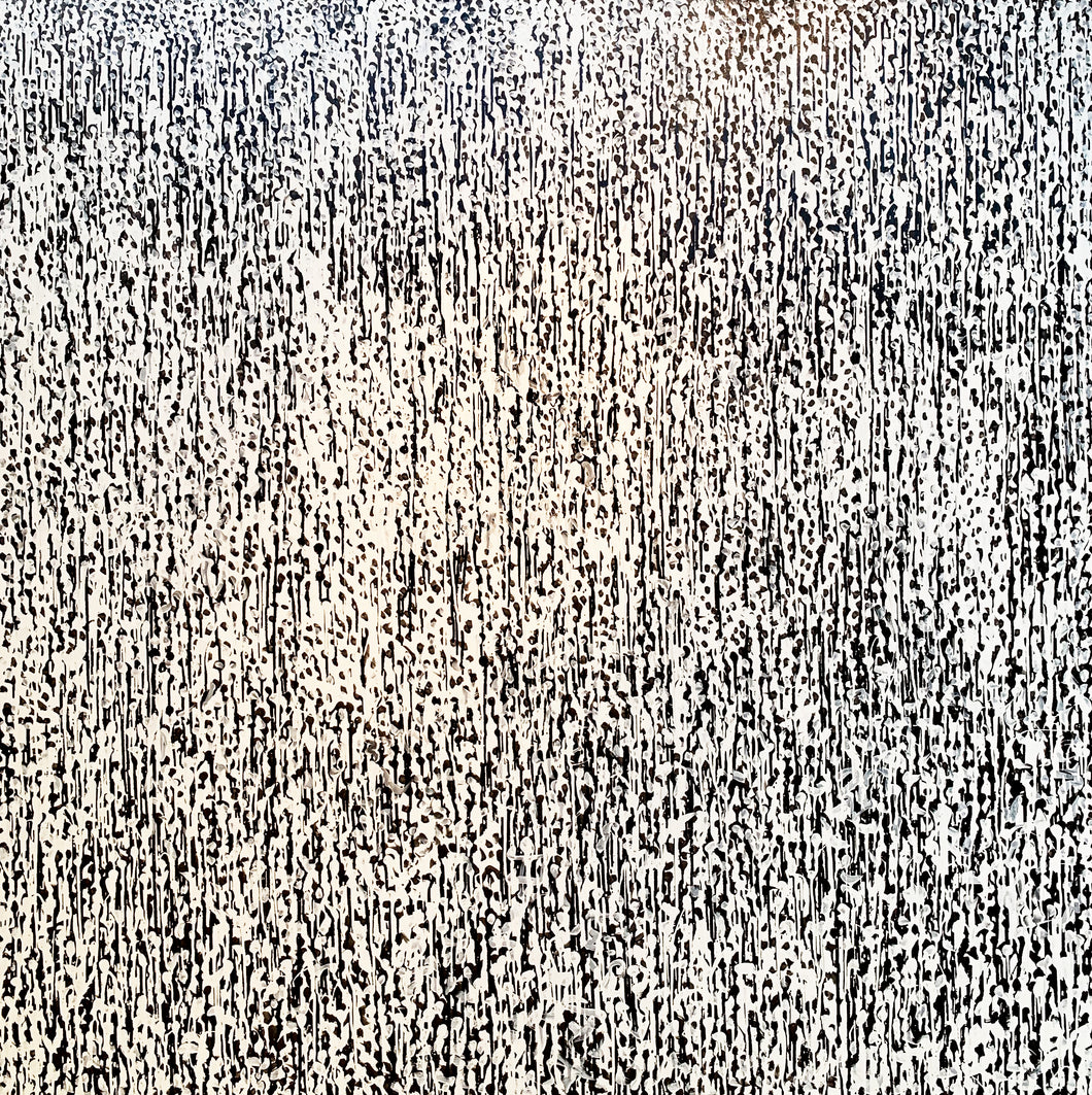 White Noise Too